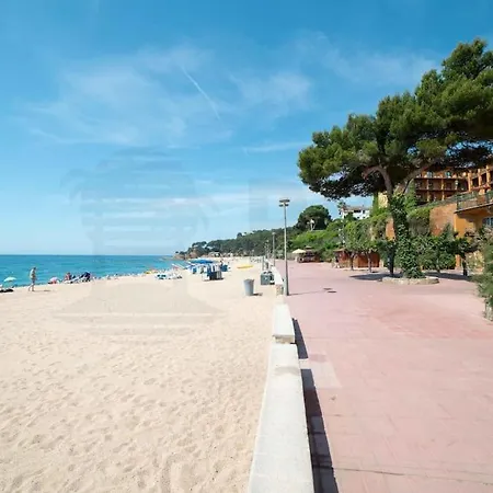 Da Paolo Lloret de Mar